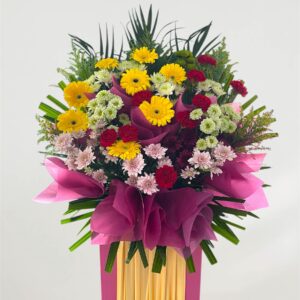 Celebration Bloom OS11