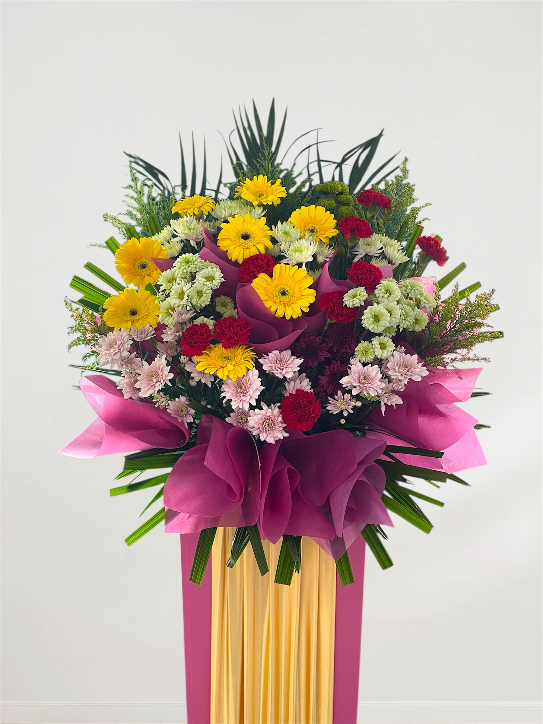 Celebration Bloom OS11