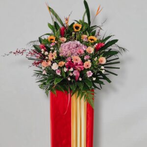 Success and Fortune OS16