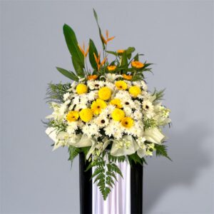 Peaceful Memories FC15