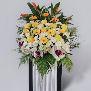 Timeless Tribute FC16