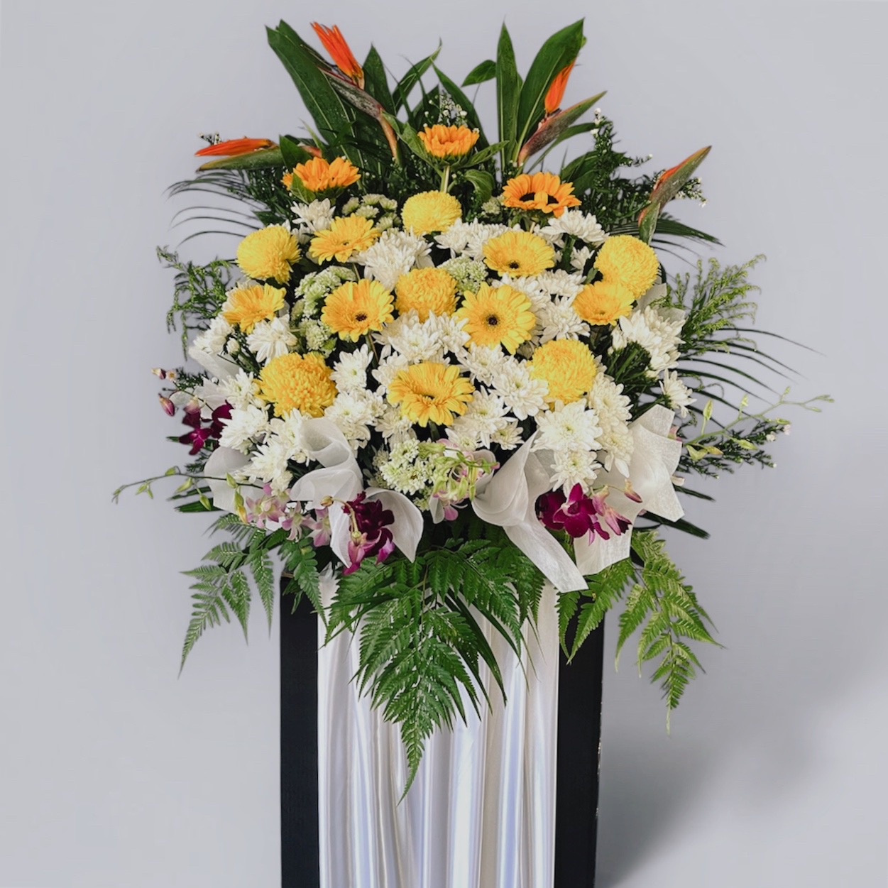 Timeless Tribute FC16